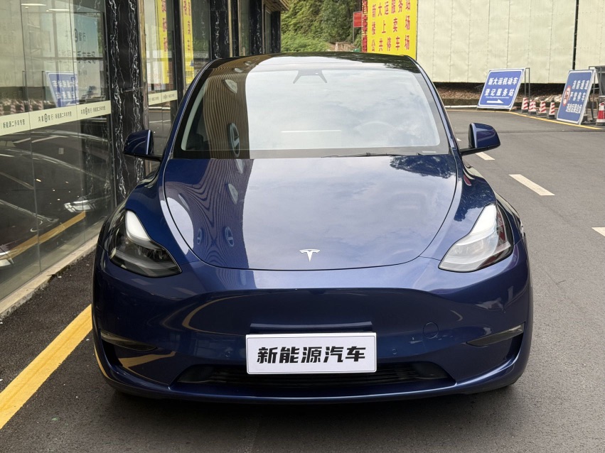 Tesla Model Y 2021 car image #2