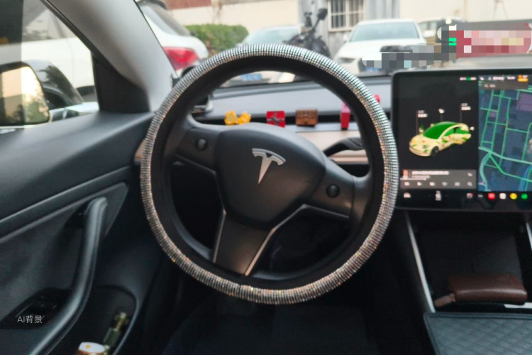 Tesla Model 3 2020 car image #12