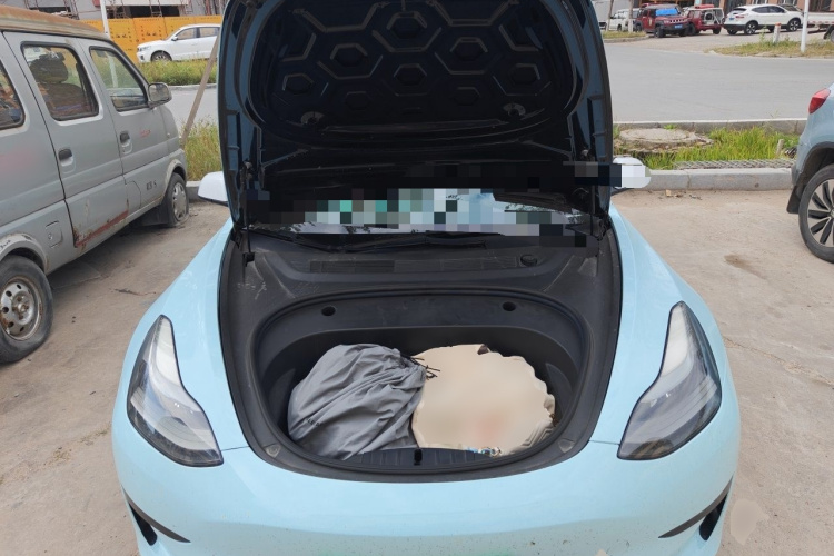 Tesla Model 3 2021 #21 Tesla Model 3 2021 car image #21