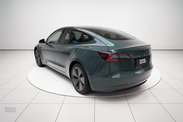Tesla Model 3 2021 car image #5