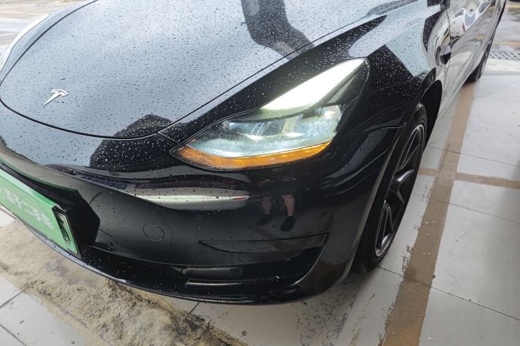 Tesla Model 3 2021 #23 Tesla Model 3 2021 car image #23