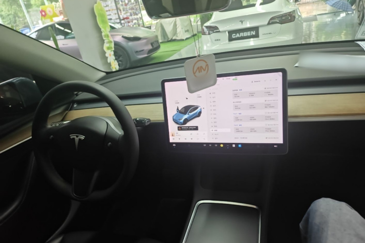 Tesla Model Y 2021 #10 Tesla Model Y 2021 car image #10