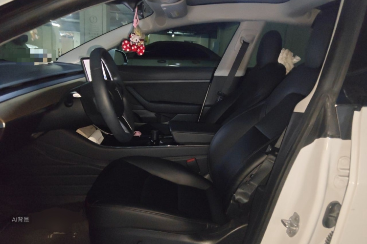Tesla Model 3 2019 #17 Tesla Model 3 2019 car image #17