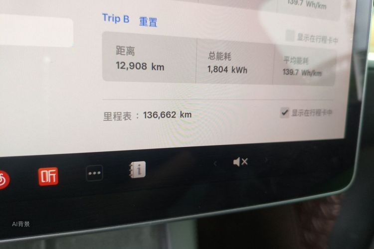 Tesla Model Y 2021 car image #14