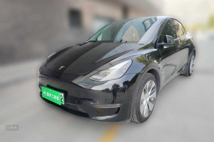 Tesla Model Y 2021 #2 Tesla Model Y 2021 car image #2