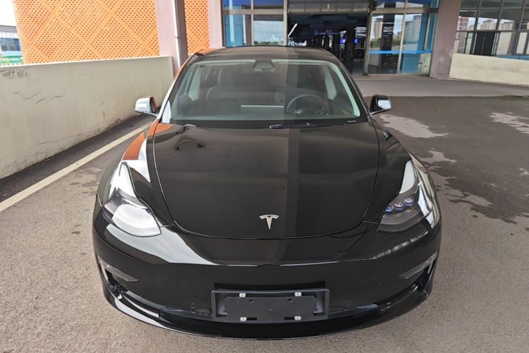 Tesla Model 3 2021 #3 Tesla Model 3 2021 car image #3