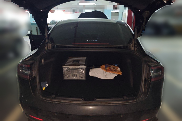 Tesla Model 3 2020 car image #21