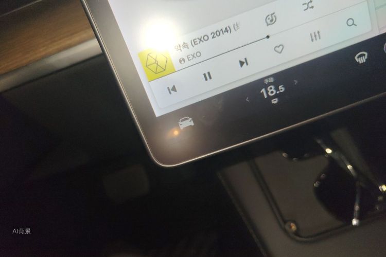 Tesla Model 3 2021 imagem de carro #10