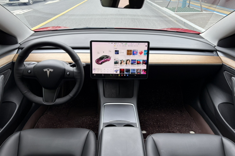Tesla Model 3 2021 car image #10