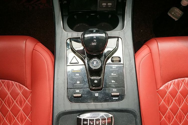 BYD Han 2020 #19 BYD Han 2020 immagine di auto #19