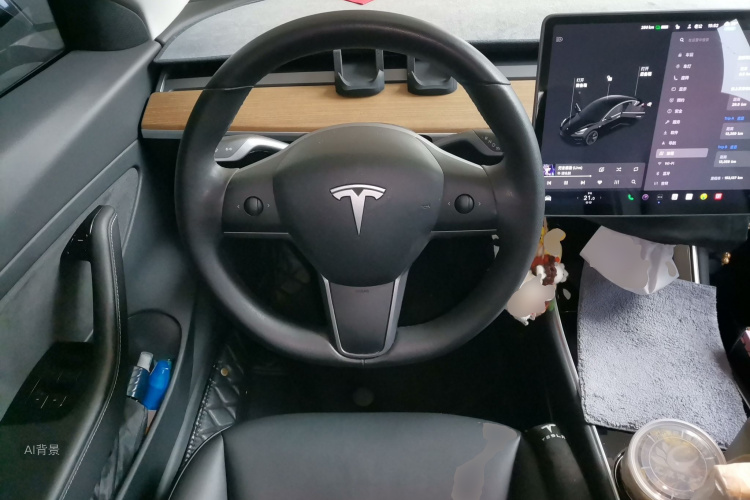 Tesla Model 3 2020 car image #12