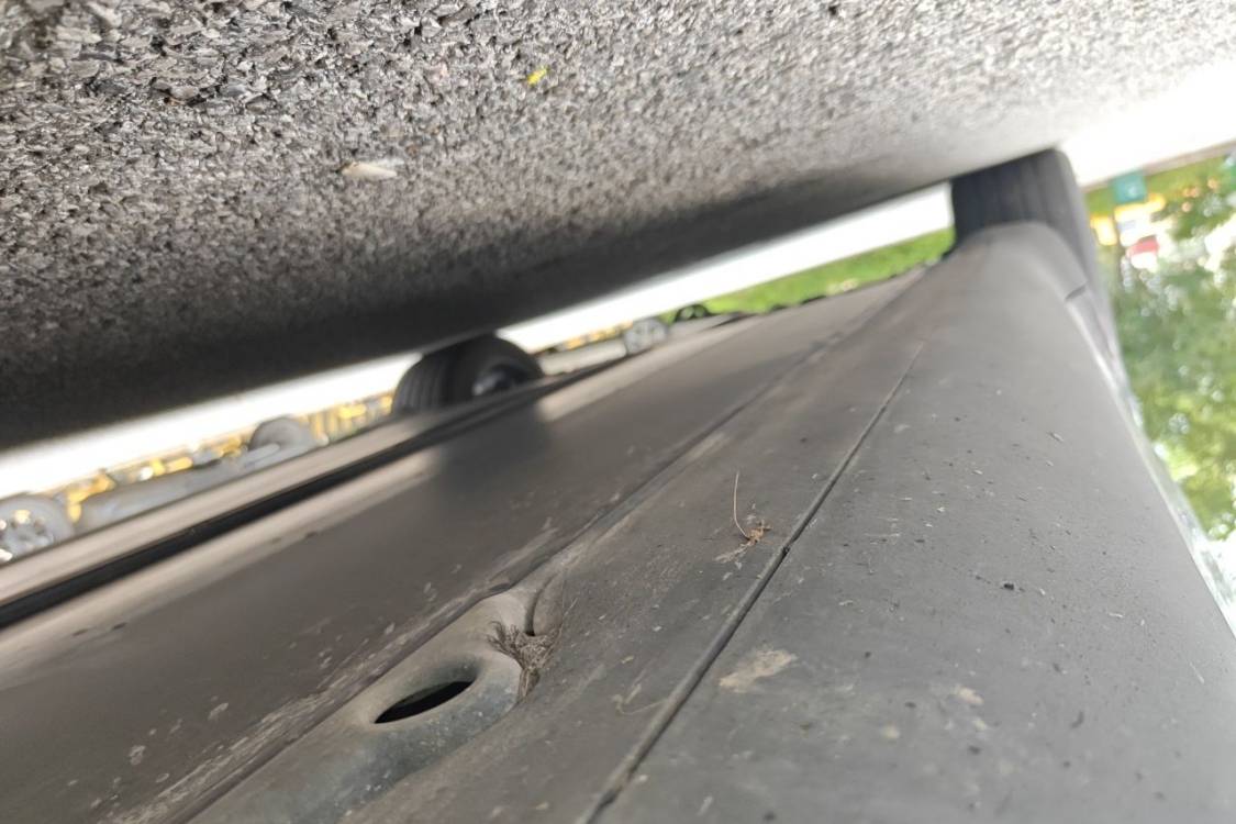 Tesla Model Y 2024 car image #15