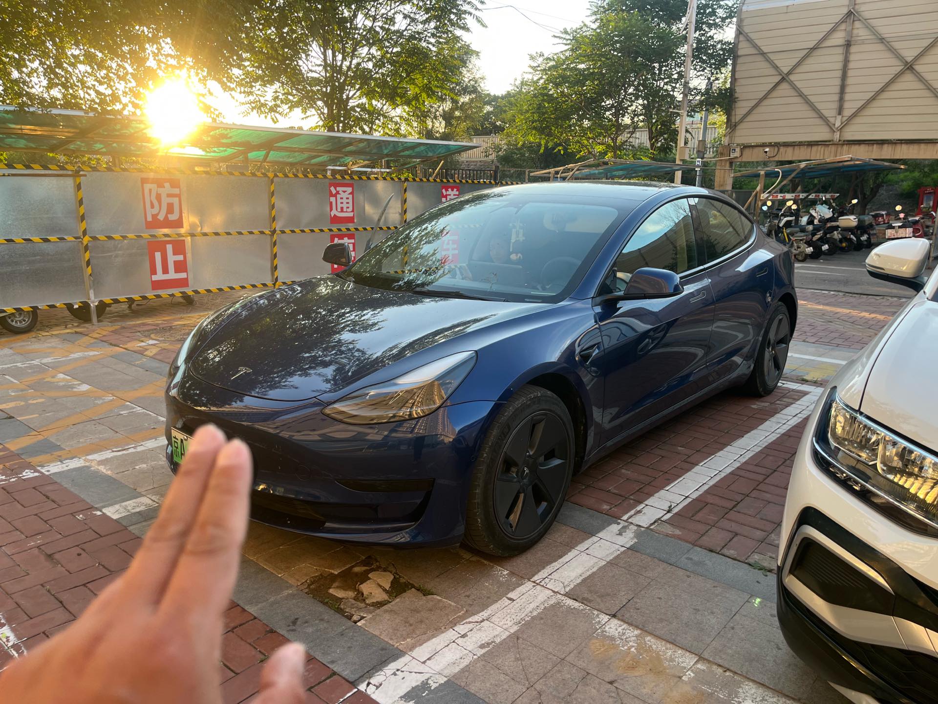 Tesla Model 3 2021 car image 