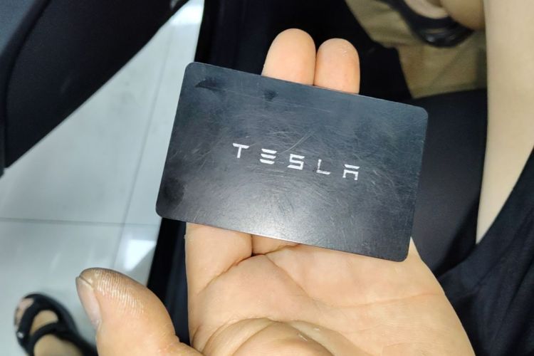 Tesla Model 3 2022 #9 Tesla Model 3 2022 car image #9