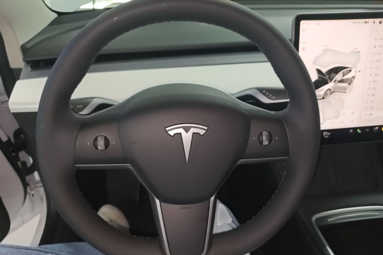 Tesla Model 3 2022 car image #11