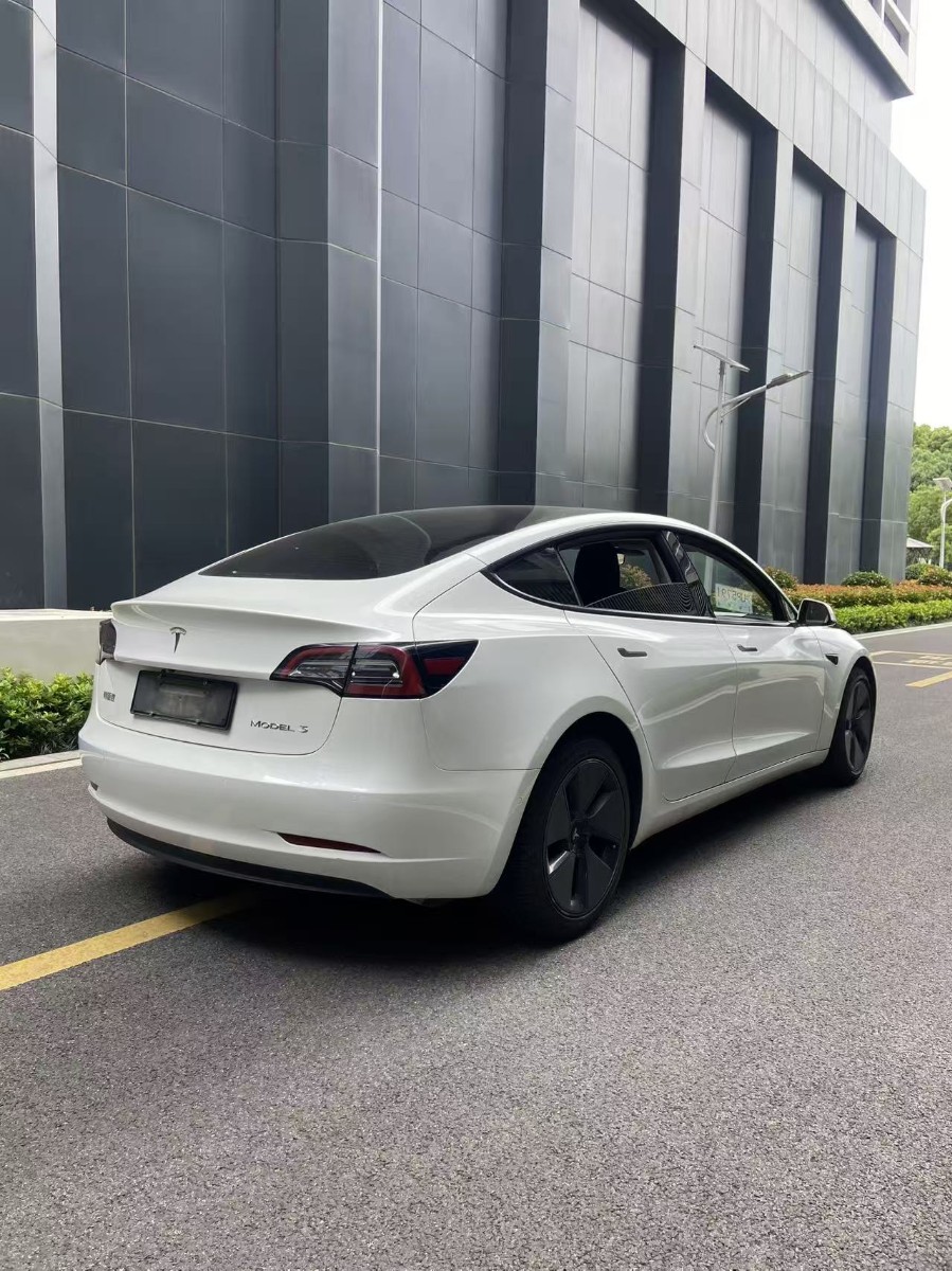 Tesla Model 3 2022 #6 Tesla Model 3 2022 car image #6