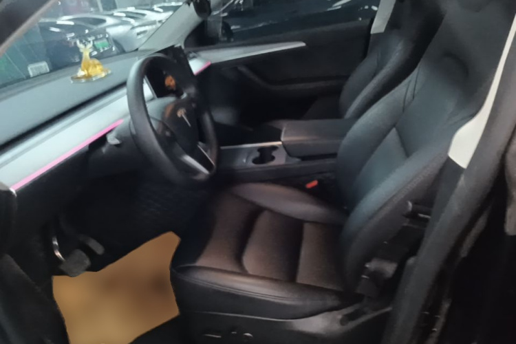 Tesla Model Y 2023 #15 Tesla Model Y 2023 car image #15