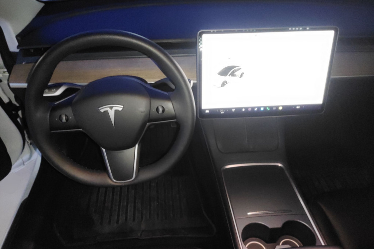 Tesla Model 3 2021 #11 Tesla Model 3 2021 car image #11