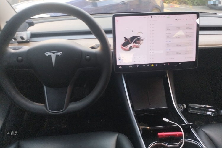 Tesla Model 3 2020 car image #11
