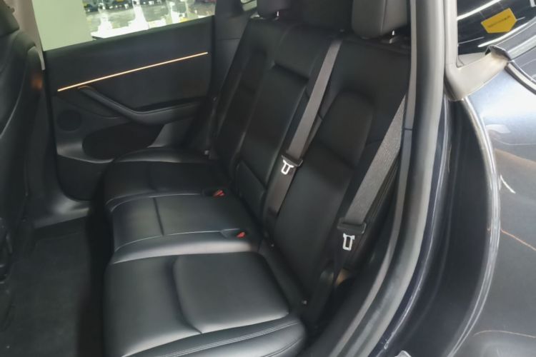 Tesla Model Y 2024 car image #17