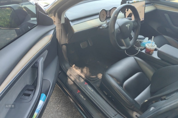 Tesla Model 3 2021 car image #18