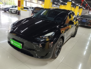 Tesla Model Y 2022 car image 