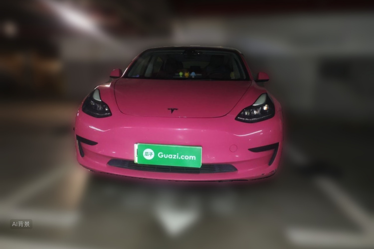 Tesla Model 3 2021 #3 Tesla Model 3 2021 car image #3