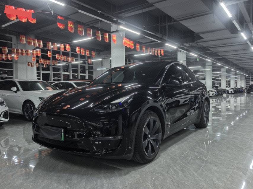 Tesla Model Y 2021 Tesla Model Y 2021 car image