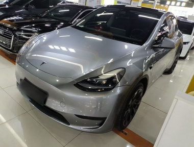 Tesla Model Y 2024 Tesla Model Y 2024 car image