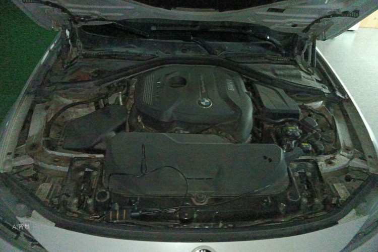 BMW 3 Series 2017 car image #22