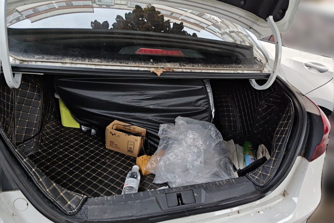 GEELY Emgrand 2019 #8 GEELY Emgrand 2019 car image #8