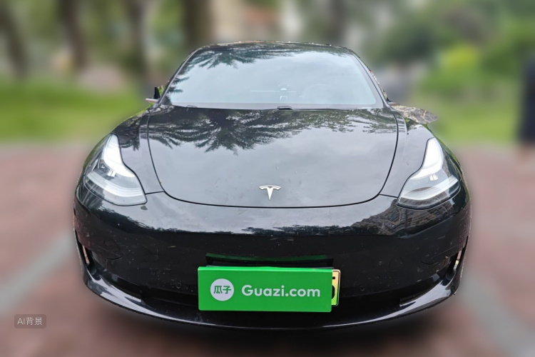 Tesla Model 3 2020 car image #3