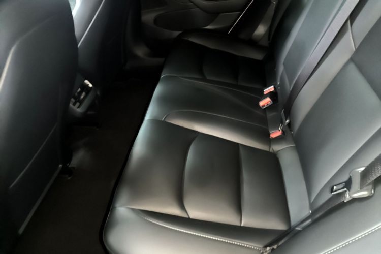 Tesla Model 3 2020 #17 Tesla Model 3 2020 car image #17