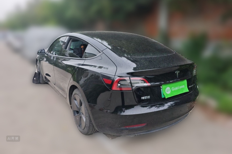 Tesla Model 3 2022 car image #5
