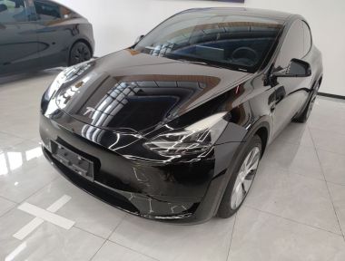 Tesla Model Y 2022 Tesla Model Y 2022 car image