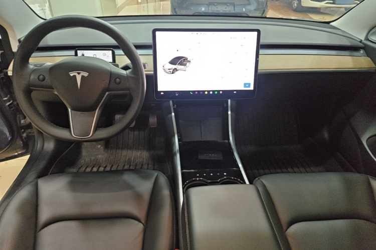 Tesla Model 3 2020 car image #10