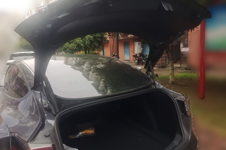 Tesla Model 3 2021 immagine di auto #21