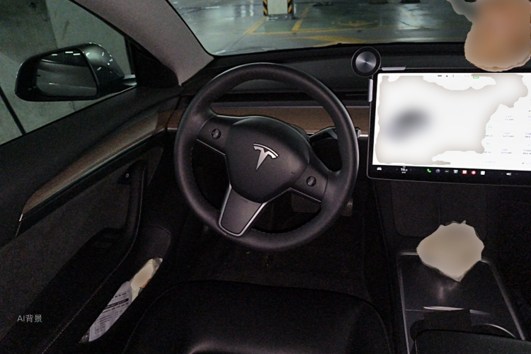 Tesla Model 3 2022 car image #12