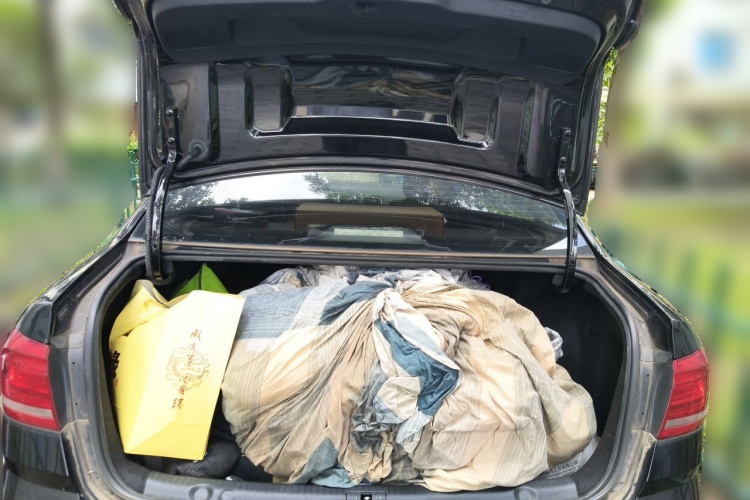 Volkswagen Lavida 2019 car image #21