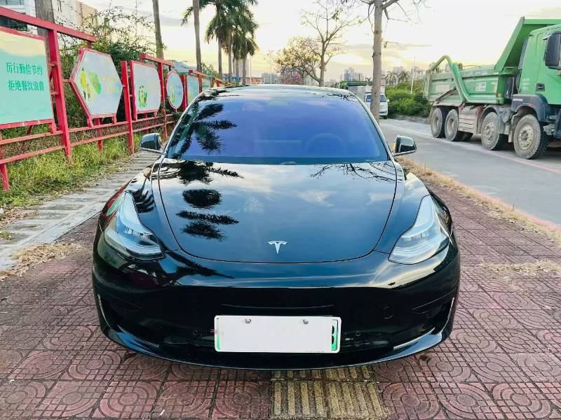 Tesla Model 3 2020 #2 Tesla Model 3 2020 car image #2