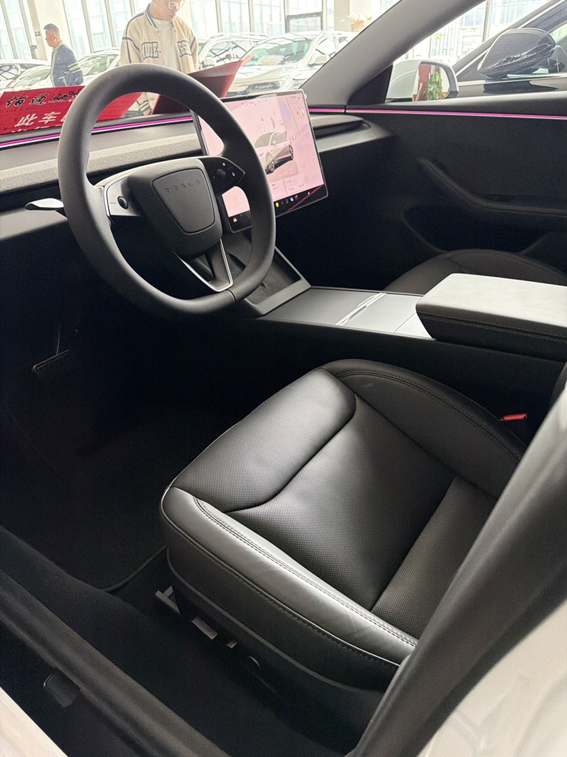 Tesla Model 3 2024 immagine di auto #3