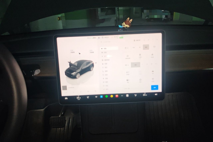 Tesla Model Y 2023 car image #13