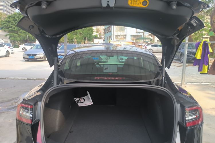 Tesla Model 3 2021 car image #19
