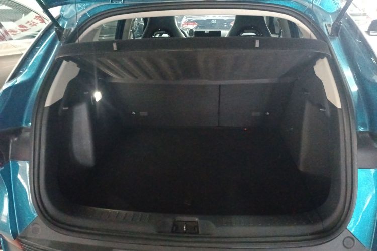 BYD Yuan Plus 2022 car image #19