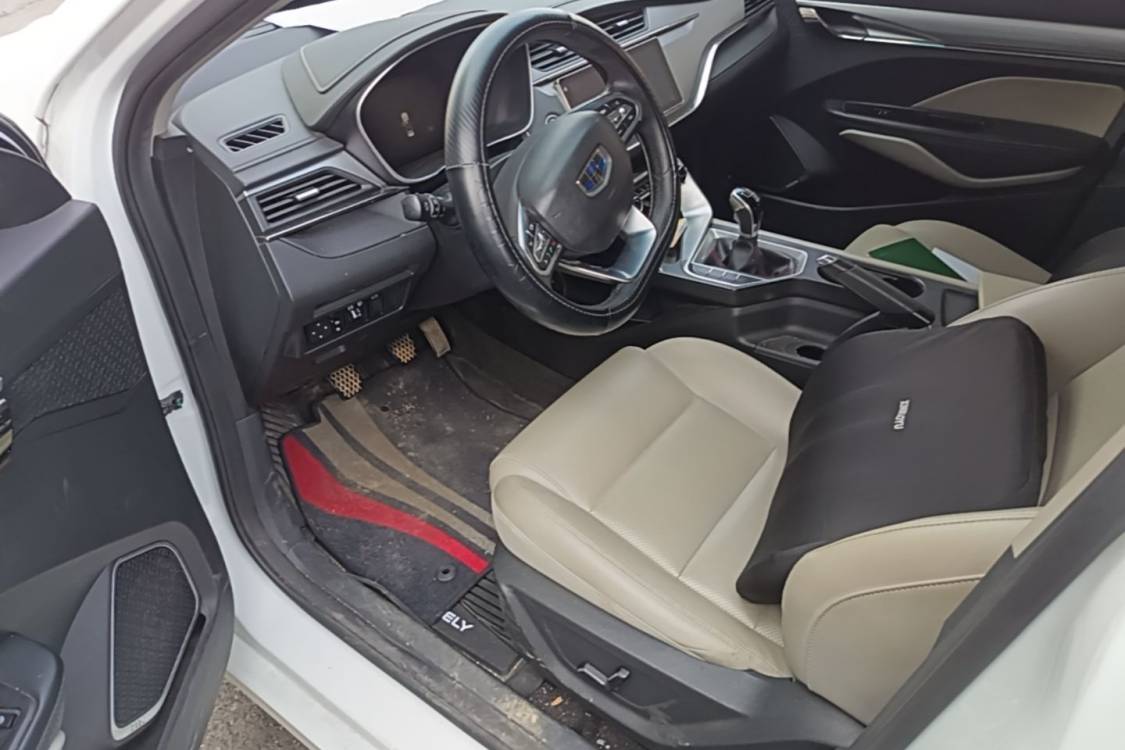 GEELY Binray 2018 immagine di auto #19
