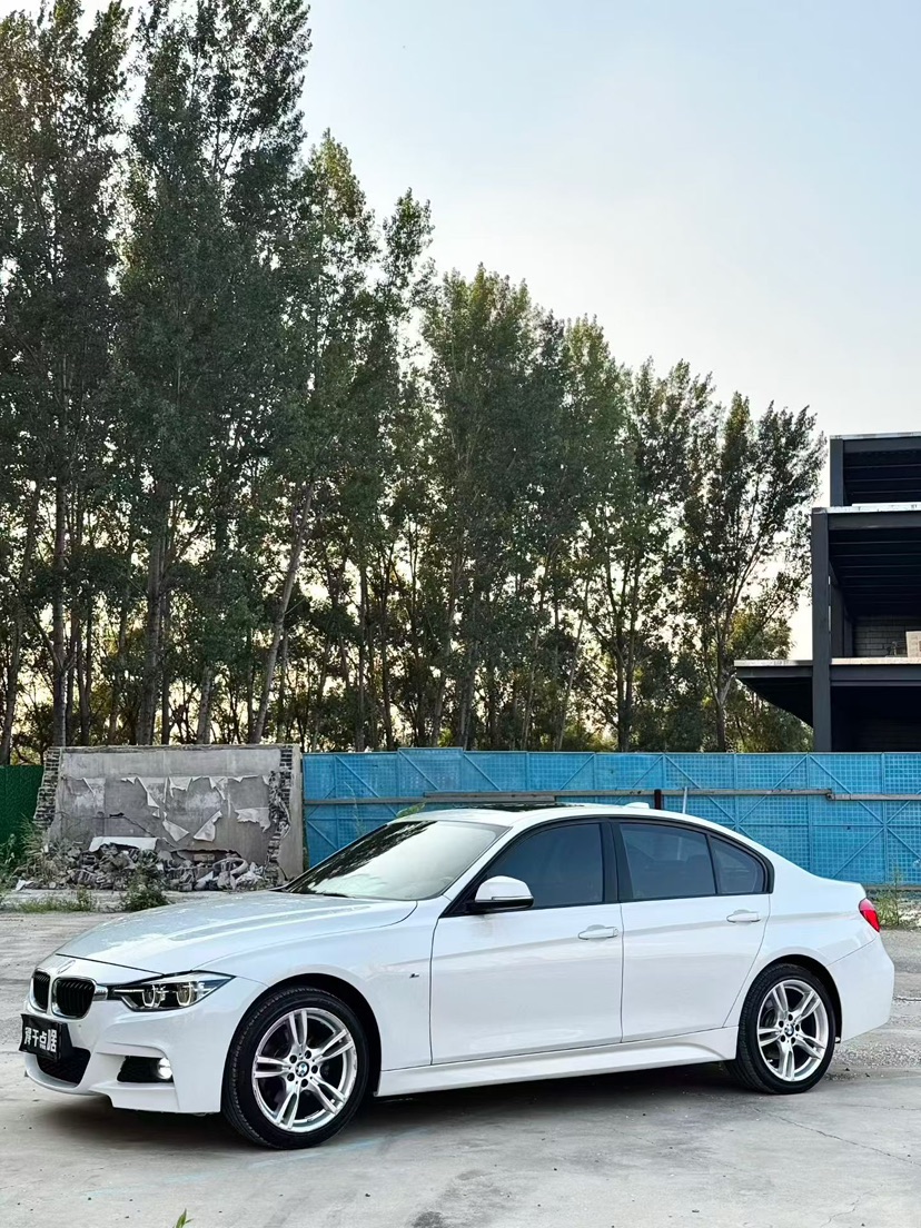 BMW 3 Series 2017 #3 BMW 3 Series 2017 immagine di auto #3