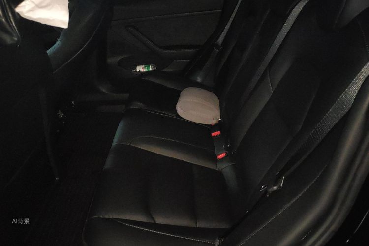 特斯拉 Model 3 2022 汽车图片 #19