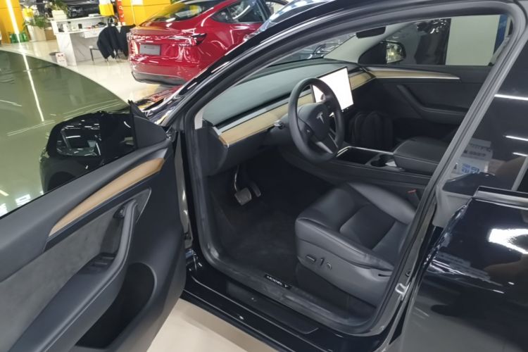 Tesla Model Y 2022 car image #12