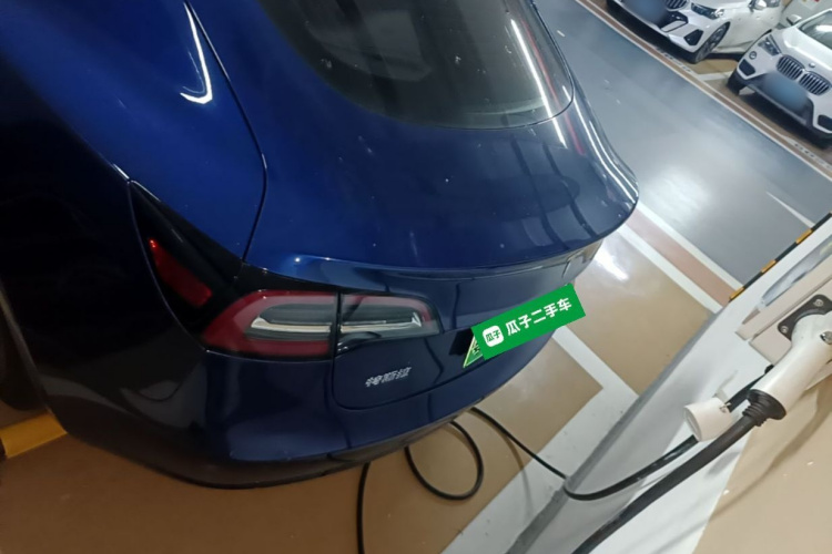Tesla Model 3 2020 car image #6