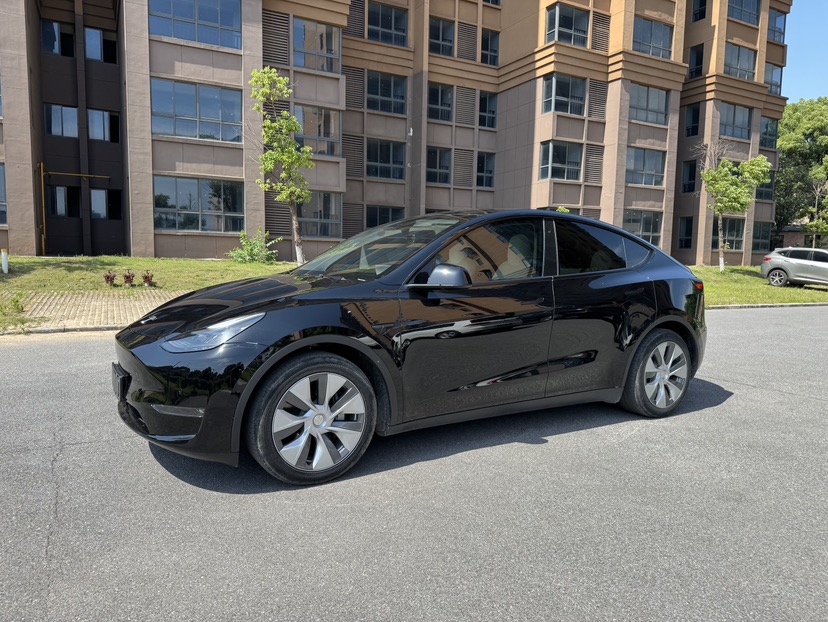 Tesla Model Y 2021 car image 